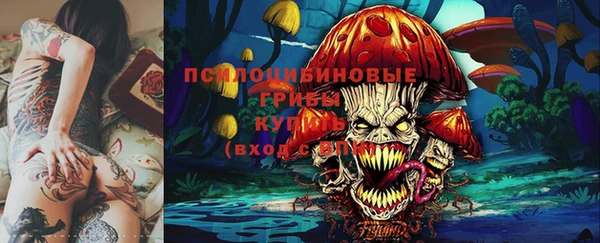 соль ск Бугульма