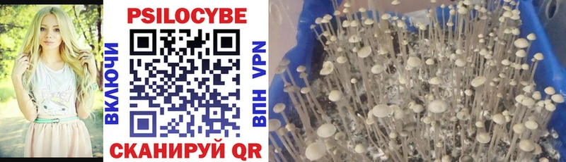 Галлюциногенные грибы мухоморы  hydra сайт  Мичуринск 